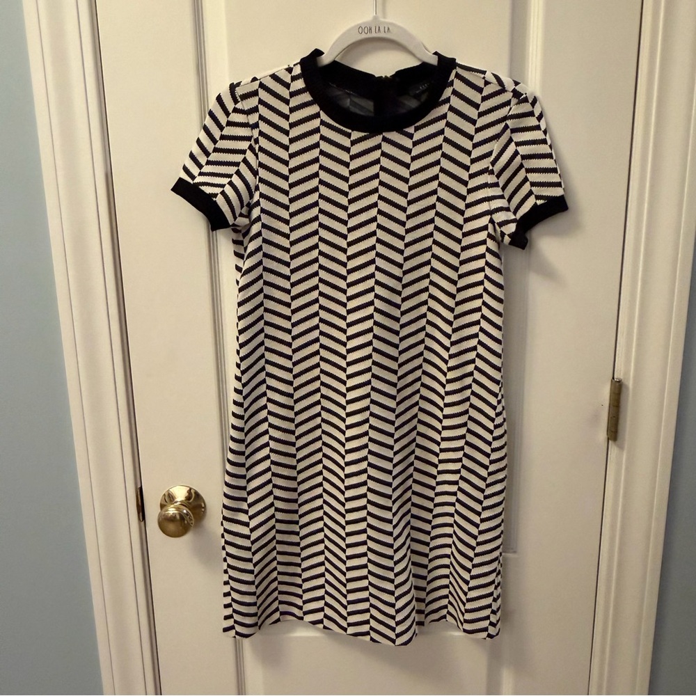 Zara Black and White Striped Mini Dress